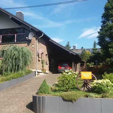Ferienwohnung Virginija Ditscheid Exterior photo