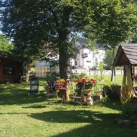 Ferienwohnung Virginija Ditscheid Exterior photo